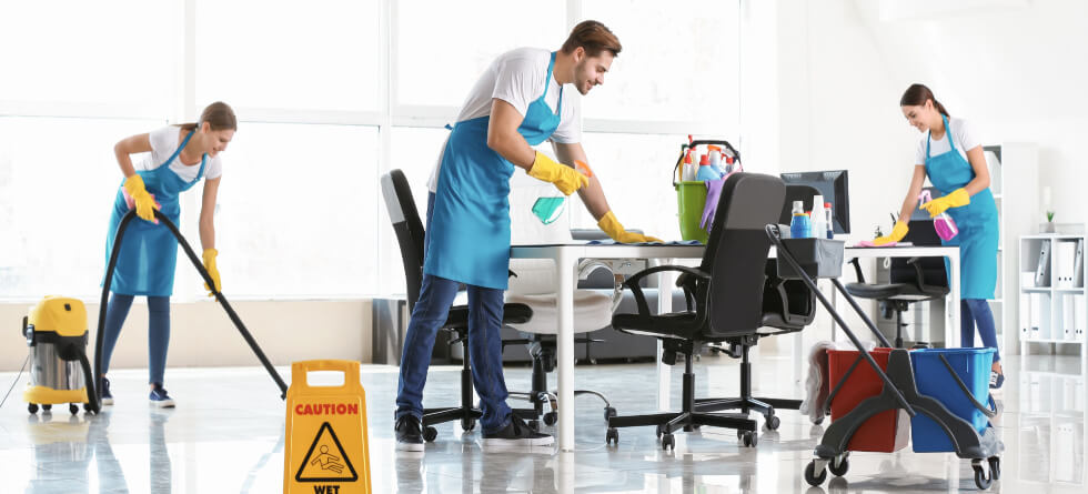 What is the cleaning industry called?
