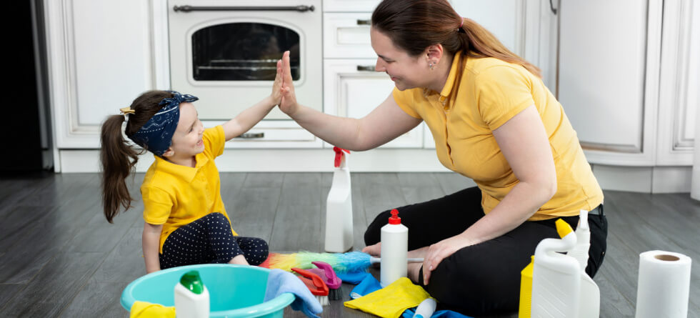 What is the cleaning industry called?
